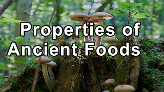 Gordon Saxe, M.D.: "The Healing Properties of Ancient Foods and the Role of Mushrooms in Immunity"