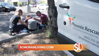 Learn some safe tips on how to help the homeless from Phoenix Rescue Mission