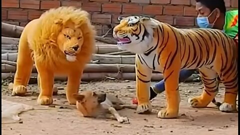 Troll Prank Dog Funny & fake Lion and Fake Tiger Prank To dog & Huge Box Prank to dog