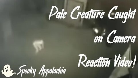 Spooky Appalachia - Pale creature Caught On Camera Reaction