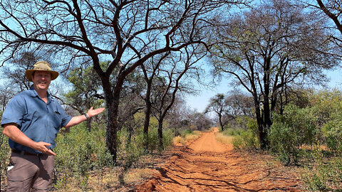 3046 Hectares Renowned International Hunting Ranch Marken Limpopo, South Africa FOR SALE