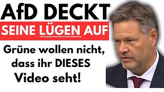 AfD deckt HABECKS LÜGEN AUF! NEUER GRÜNEN SKANDAL!💥@Politik Perspektiven🙈🐑🐑🐑 COV ID1984