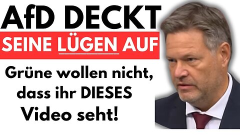 AfD deckt HABECKS LÜGEN AUF! NEUER GRÜNEN SKANDAL!💥@Politik Perspektiven🙈🐑🐑🐑 COV ID1984