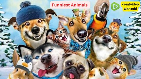 Funniest Animals 2023 😻 Best Funny Cats and Dogs Videos 😍🐶