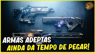 DESTINY 2 │ ARMAS ADEPTAS DOS PRÓXIMOS GRÃO MESTRES. VEJA AGORA!