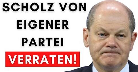 Unglaublich: Kanzler-SPD stimmt in EU-Parlament FÜR Taurus-Lieferung!