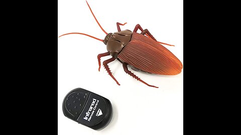 Funny Remote Control Cockroach