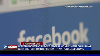 Leaked documents prove federal gov. colluding with big tech to interfere with national elections.