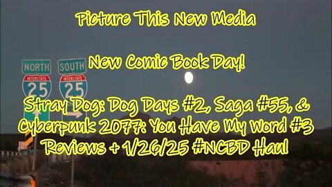 Saga #55, Stray Dogs: Dog Days #2 & More Reviews + 1/26/22 #NCBD Haul | Picture This New Media