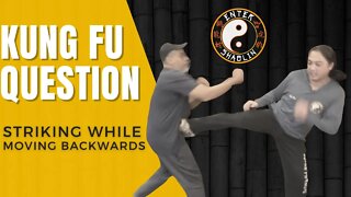 Kung Fu Training Question | Striking While Moving Backwards | Martial Arts