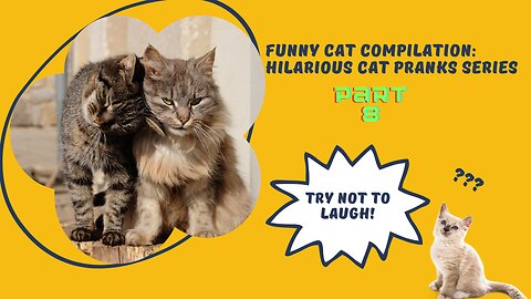 Funny Cat Compilation: Hilarious Cat Pranks Series - Part 8