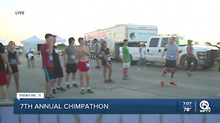 7th Annual Chimpathon returns in person