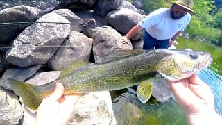 Fishing Spinners and Crankbaits for River Walleye / Spillway Fishing for Walleye & Bass