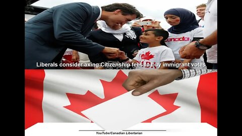 Liberals consider axing Citizenship fees to buy immigrant votes