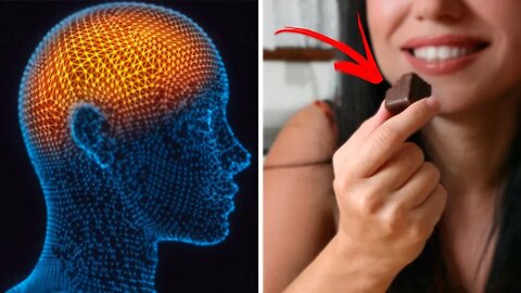 5 Brain Foods that Will Improve Your Focus and Concentration