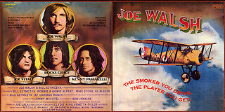 The Smoker You Drink, The Player You Get - Joe Walsh