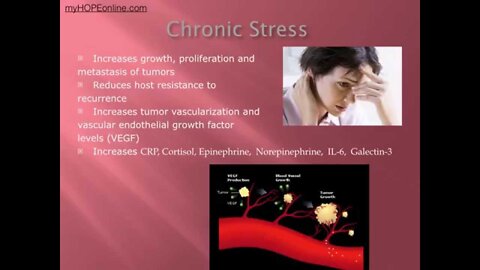 Cancer Class 9 Stress and Cancer - Dr. Kevin Conners