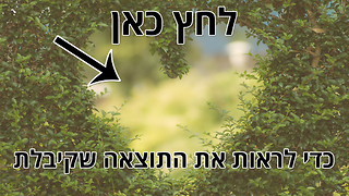 מבחן האהבה: יש עבורך אהבה אמתית אחת!