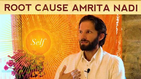 Root Cause Amrita Nadi Explained: Why Are We not ALL Enlightened Beings?
