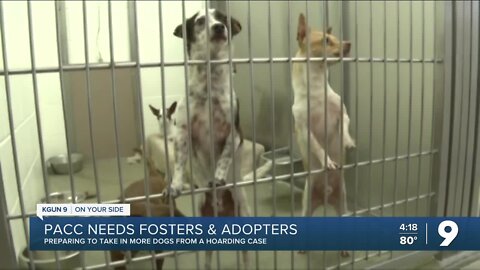 Pima Animal Care Center receiving dogs after hoarder case