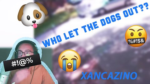 WHO LET THE DOGS OUT? - XANCAZINO