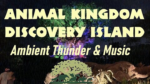 Animal Kingdom Discovery Island Ambient Music and Thunder