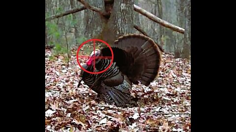 Mass Turkey 2024 Opener