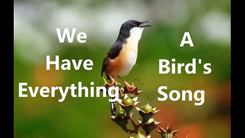 We Have Everything (A Bird's Song)