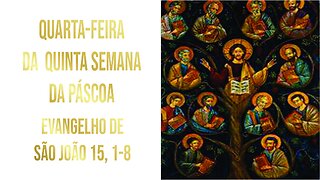 Evangelho da Quarta-feira da Quarta Semana da Páscoa, Jo 15, 1-8