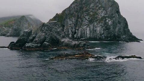 Close up aerial view sea lions in natural habitat on Pacific coast. Rocky rookery or breakwater ful