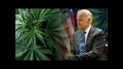 Biden’s Marijuana Reform Plan Will Ruin America
