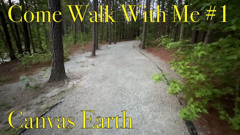 Come Walk With Me #1 | Canvas Earth