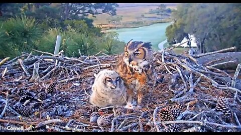 A Breakfast Close-up 🦉 3/21/22 07:17