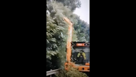 Bushes Grooming Engineered Vehicle? Like A Huge Size Cutter?