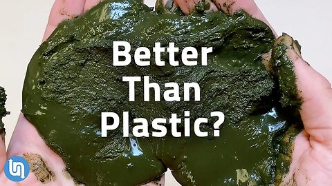 Why Algae Could be the Plastic of the Future #TeamSeas