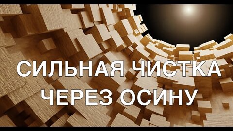 СИЛЬНАЯ ЧИСТКА ЧЕРЕЗ ОСИНУ ДЛЯ ВСЕХ Ритуал Инги Хосроевой