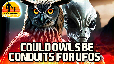 Could Owls Be Conduits for UFOs - Mike Clelland
