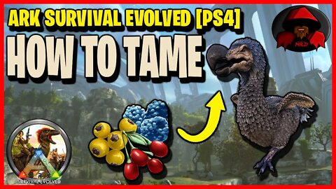 Ark Survival Evolved - HOW TO TAME | Beginner Tame on PS4