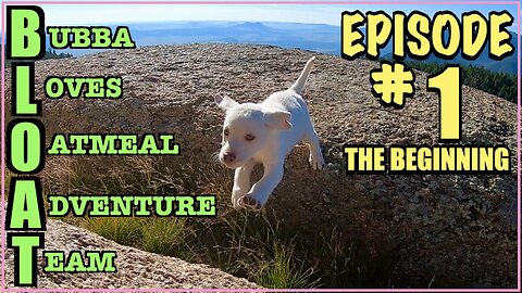 Bubba Loves Oatmeal Adventure Team : Episode 1