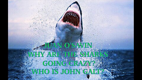 JUAN O'SAVIN WHAT IS HAPPENING TO THE OCEANS? SHARKS GOING CRAZY.