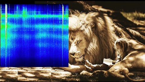 Schumann Resonance July 31 RESET, Anti-Viral Software Installed, Inner Sanctum, Soul Remembers You
