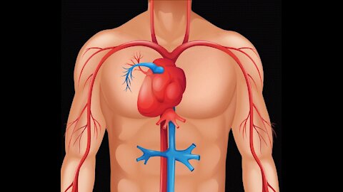 How To: Manage Diabetes Without Drugs