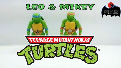 Toy Review Teenage Mutant Ninja Turtles BST AXN Leo and Mikey