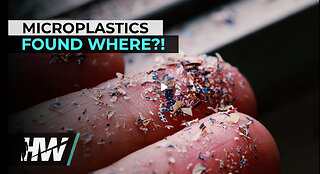 MICROPLASTICS FOUND WHERE?!