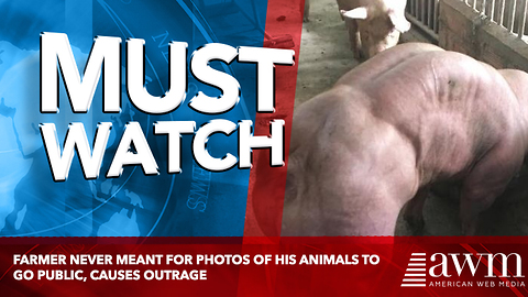 Farmer Never Meant For Photos Of His Animals To Go Public, Causes Outrage