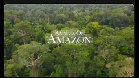 Amazon जंगल के सबसे खतरनाक जानवर --।। Wildest Animals in Amazon Forest