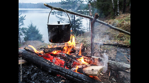 Primitive Cooking Survival Skills // Best Steak sauce forest made //Cooking meat in nature bbq // Simply Delicious and Easy