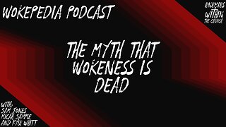 The Myth That Wokeness is Dead - Wokepedia Podcast 015