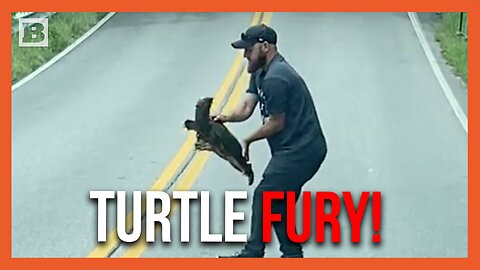 Man Helps Very Angry Turtle Cross Road in Tennessee