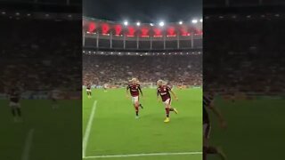 GOL DO ARRASCAETA VISTO DE DENTRO DO CAMPO NO FLAMENGO X SÃO PAULO PELA COPA DO BRASIL